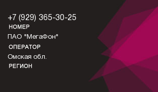 9293653025